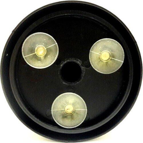 More For You Berber Boyun Bandı Kutusu